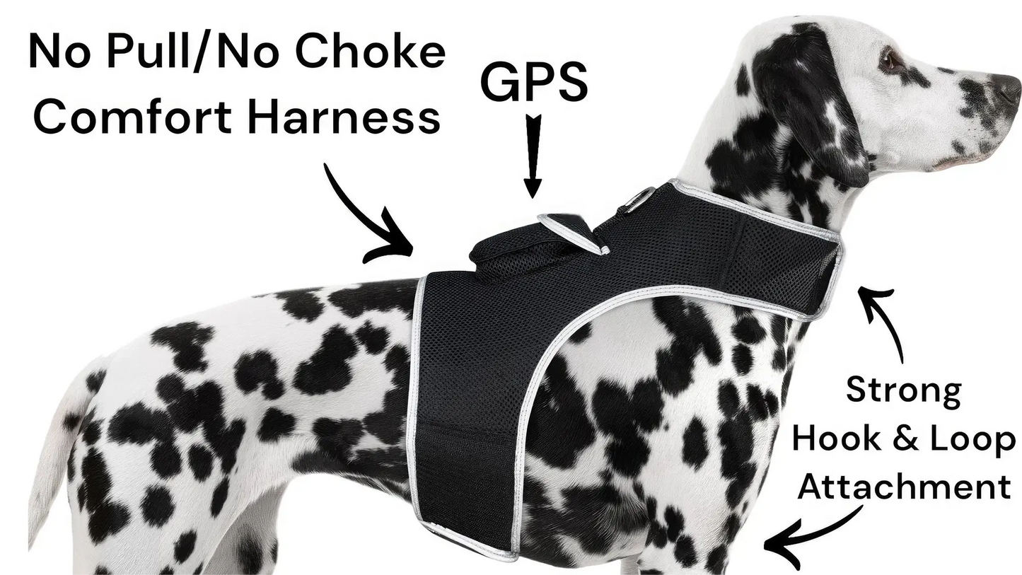 GPS Tracking Dog Collar Locator Effective Realtime Tracking App Size:L