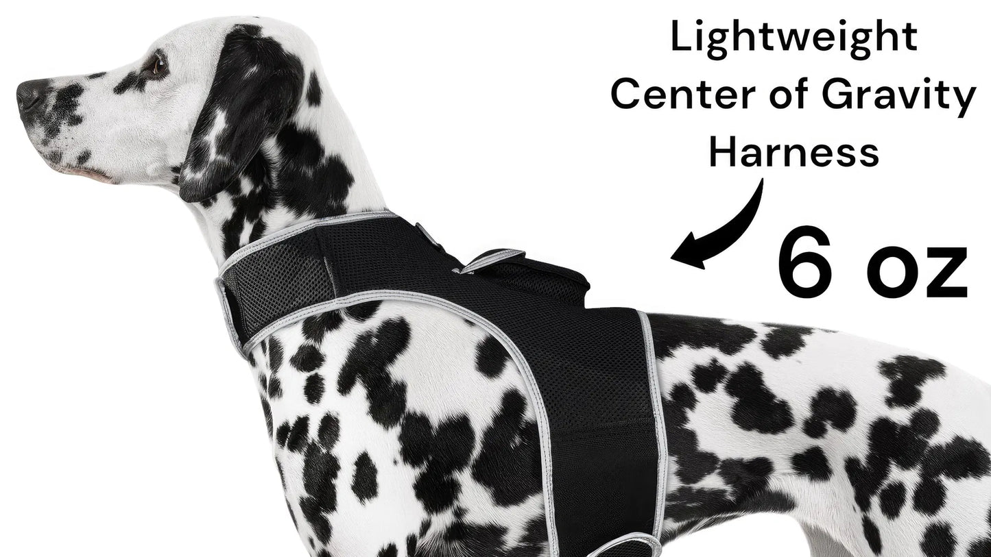 GPS Tracking Dog Collar Locator Effective Realtime Tracking App Size:L