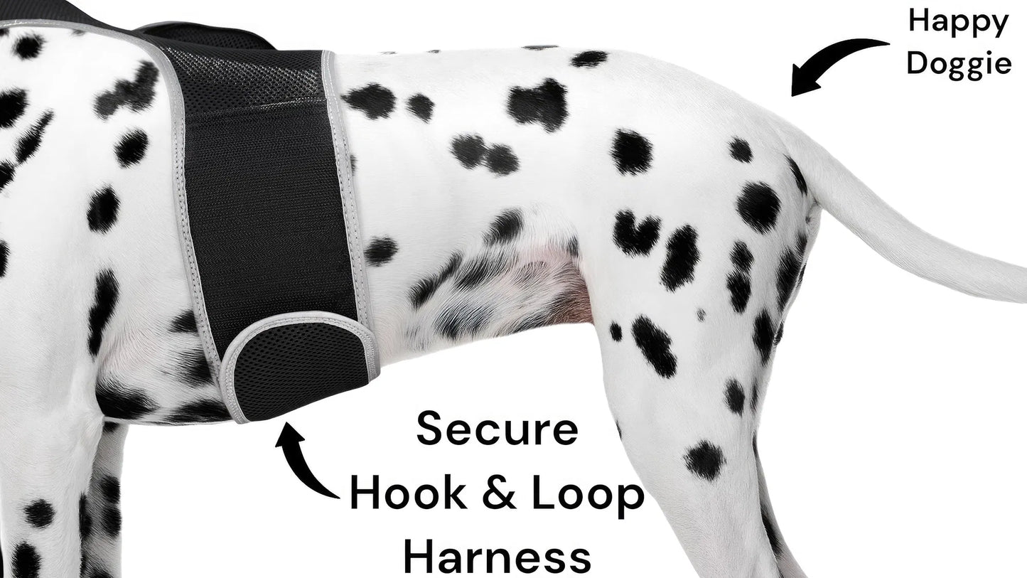 GPS Tracking Dog Collar Locator Effective Realtime Tracking App Size:L