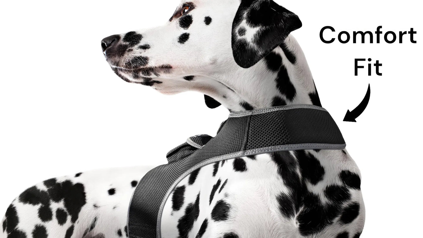GPS Tracking Dog Collar Locator Effective Realtime Tracking App Size:L