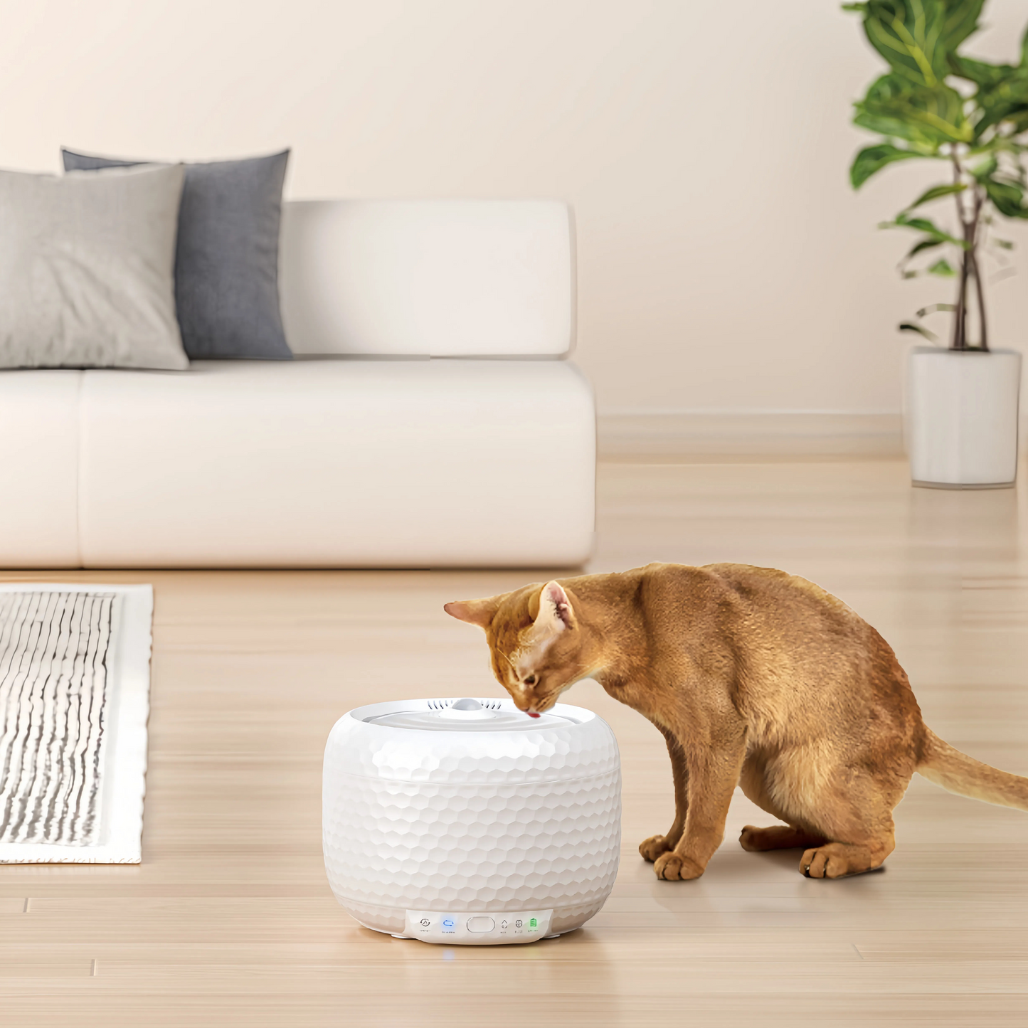 Whisper-Quiet Wireless Cat Water Fountain, 5 Replacement Filter, Automatic Water Fountains for Cats and Small Dogs