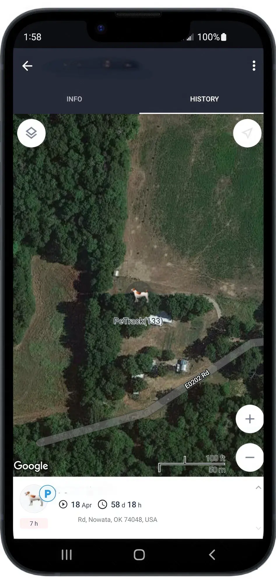 GPS Tracking Dog Collar Locator Effective Realtime Tracking App Size:L