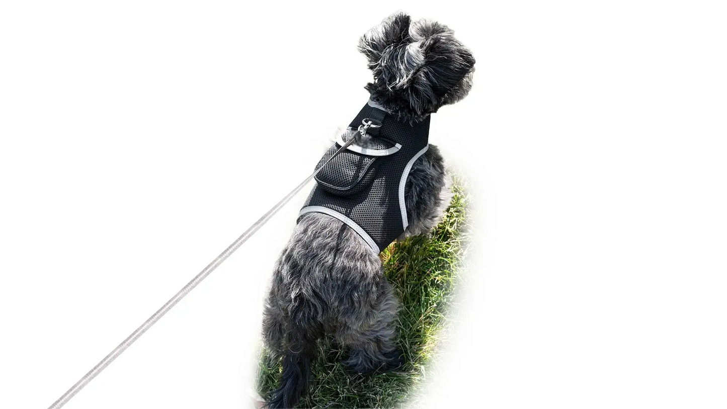 GPS Tracking Dog Collar Locator Effective Realtime Tracking App Size:L