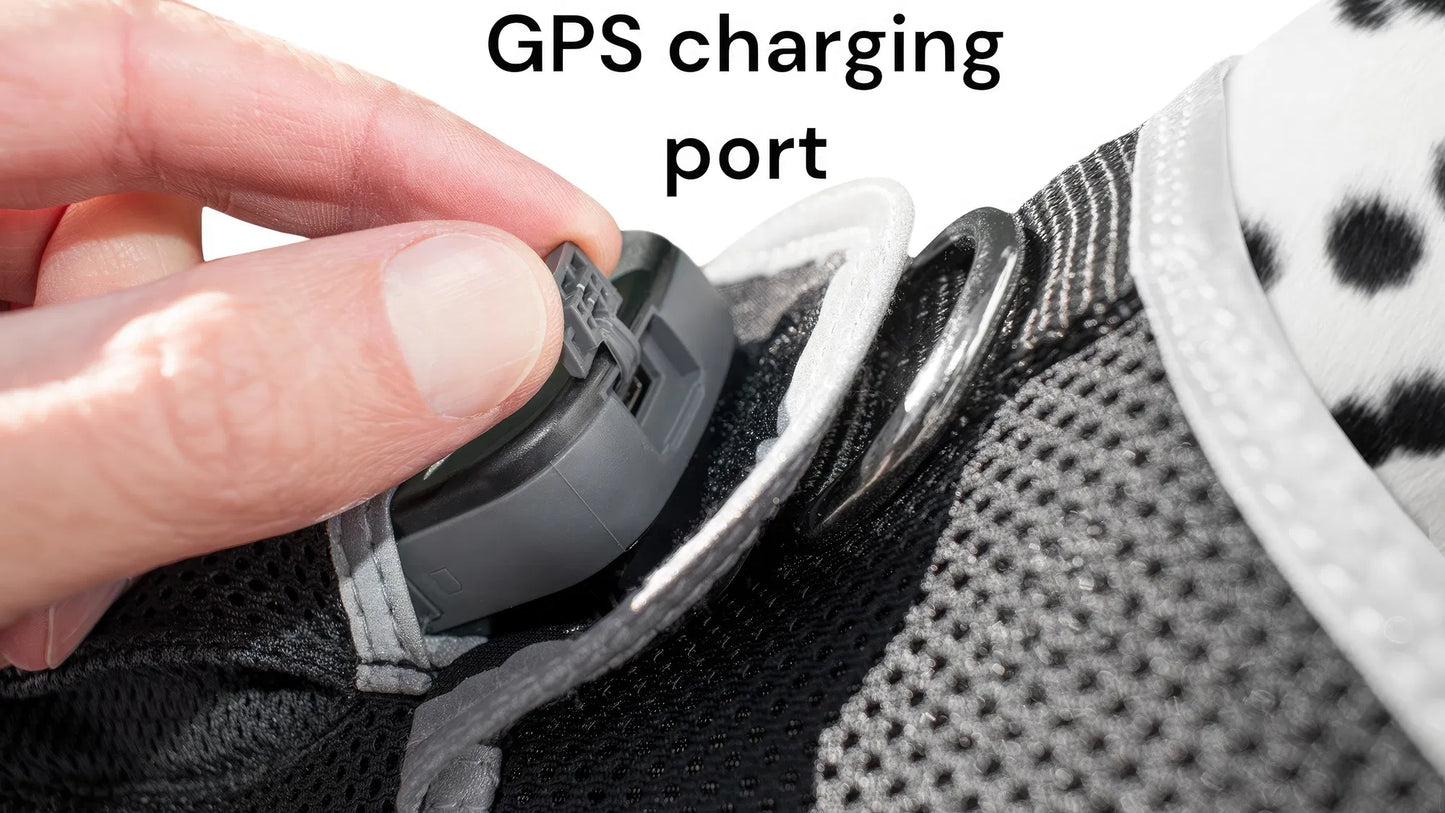 GPS Tracking Dog Collar Locator Effective Realtime Tracking App Size:L