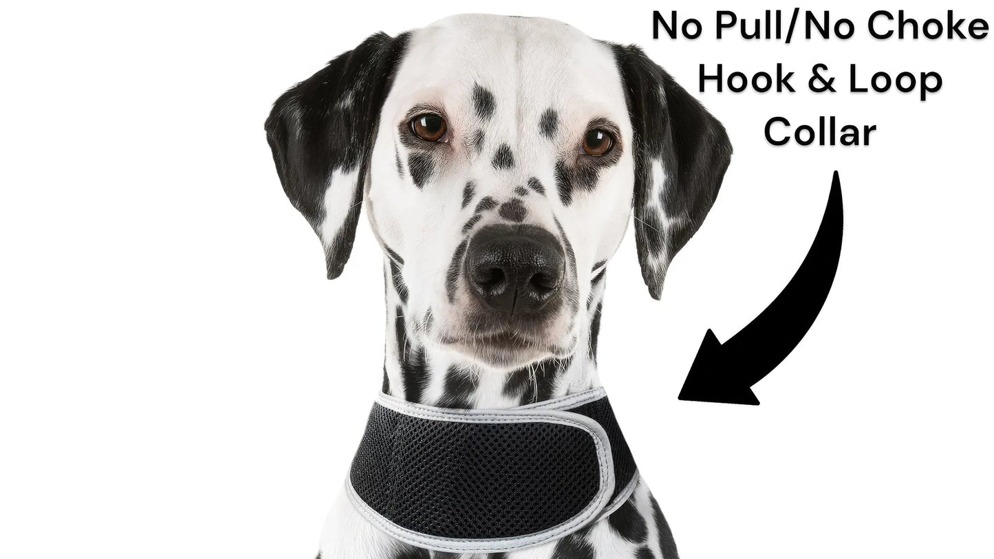 GPS Tracking Dog Collar Locator Effective Realtime Tracking App Size:L