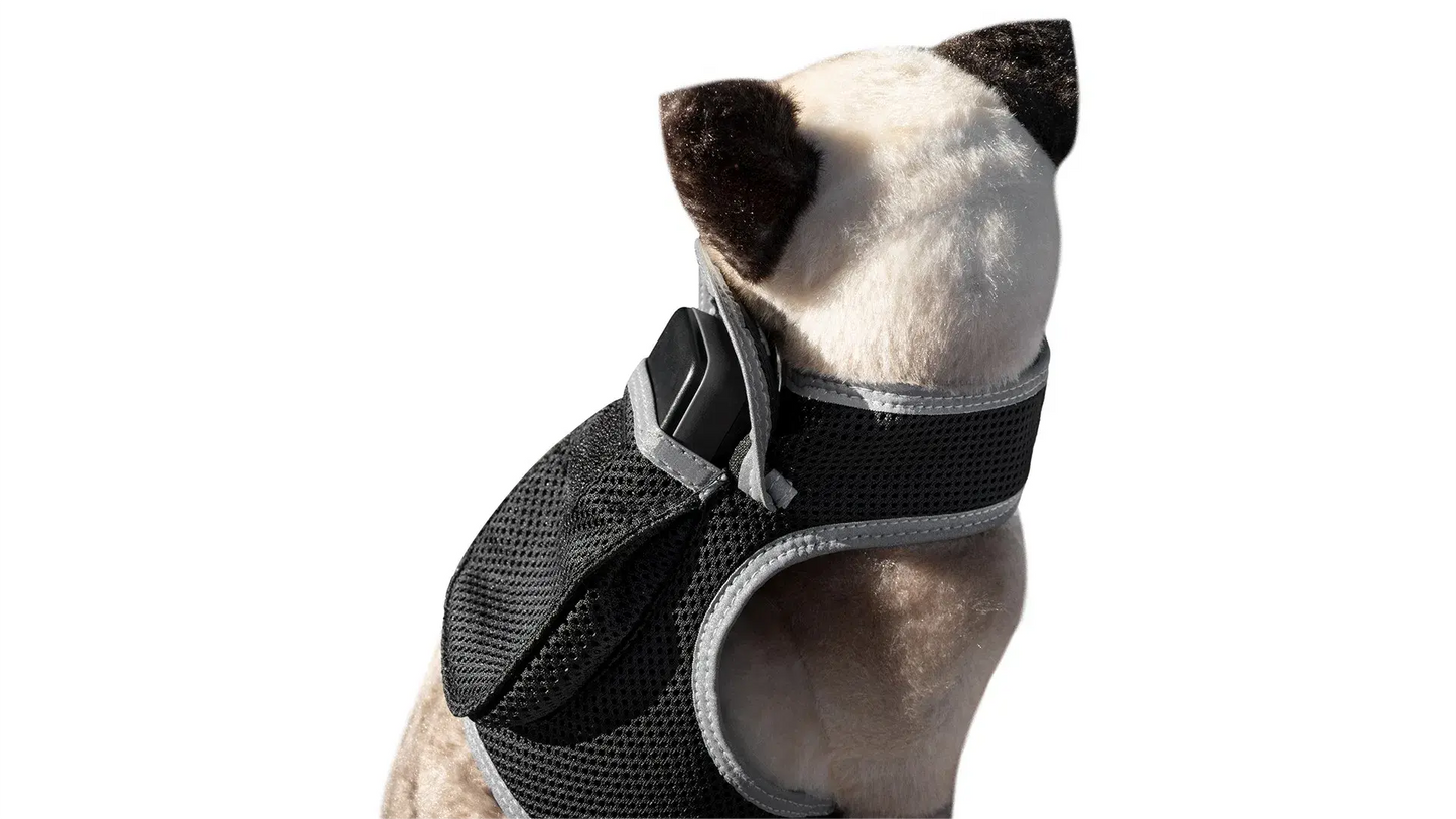 GPS Tracking Dog Collar Locator Effective Realtime Tracking App Size:L