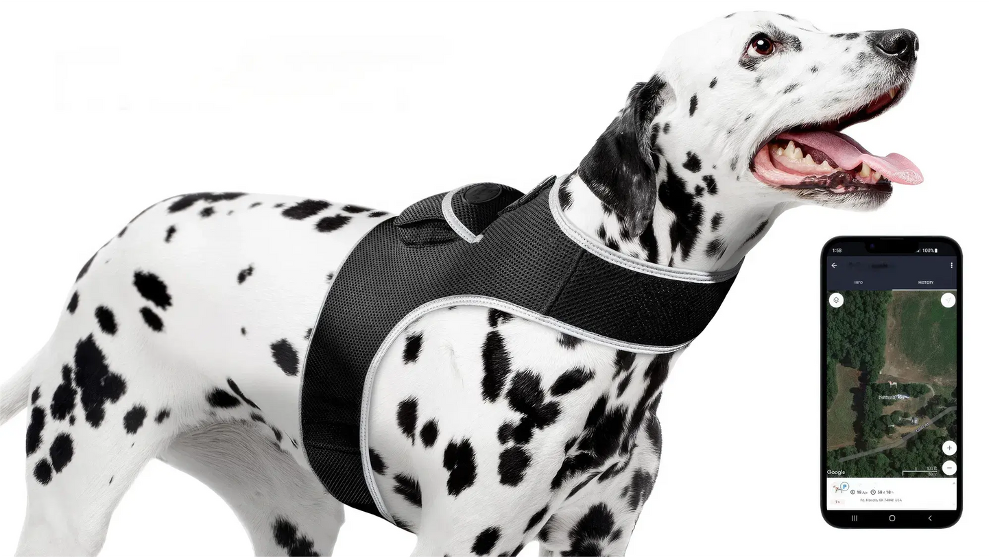 GPS Tracking Dog Collar Locator Effective Realtime Tracking App Size:L