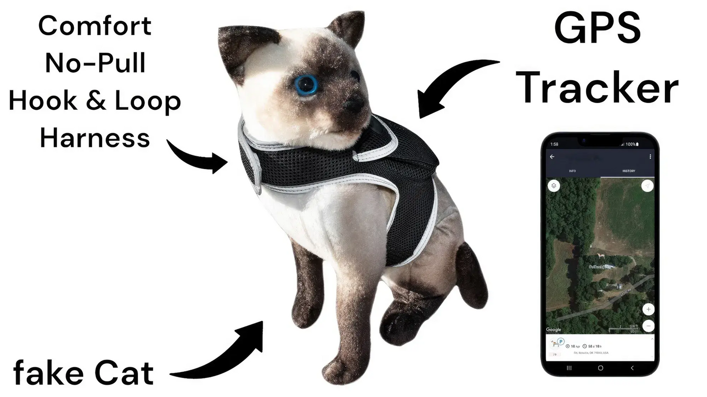 GPS Tracking Dog Collar Locator Effective Realtime Tracking App Size:L