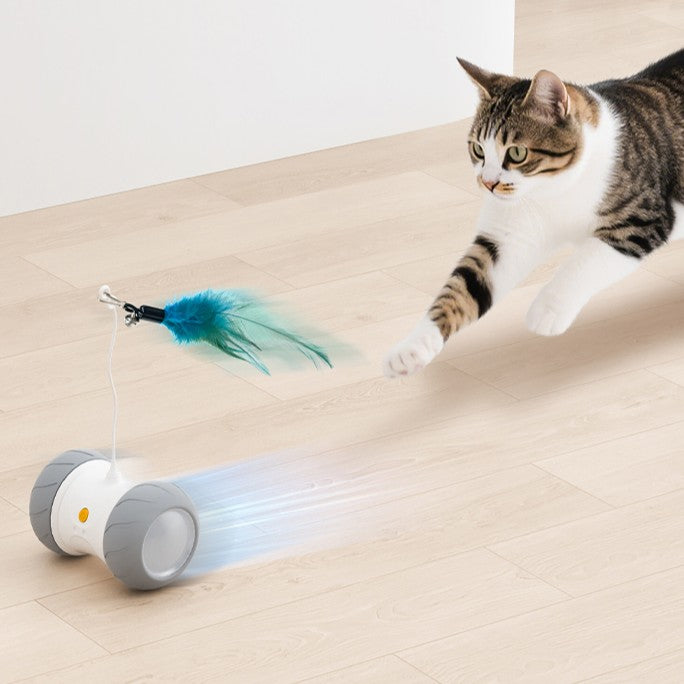 Automatic Cat Toys Interactive Feather Toys, Pet Exercise Electric Toys for Indoor with Feather, APP Control