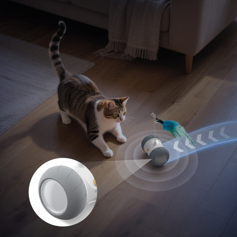 Automatic Cat Toys Interactive Feather Toys, Pet Exercise Electric Toys for Indoor with Feather, APP Control