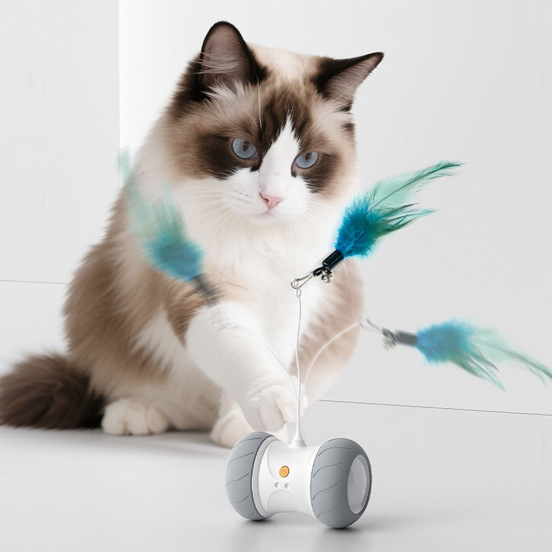 Automatic Cat Toys Interactive Feather Toys, Pet Exercise Electric Toys for Indoor with Feather, APP Control