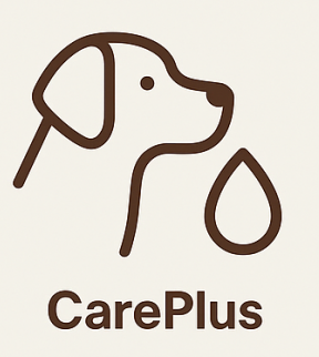 CarePlus