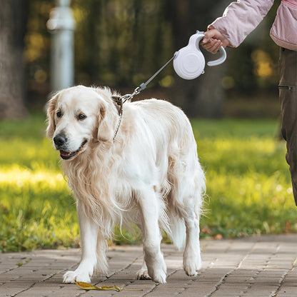 Retractable Dog Walker, Explosion Proof Prevent Entanglement Durable Automatic Retractable Pet Leash Easy to Use for Walking for Pet for Traveling