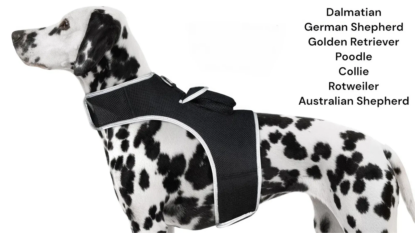 GPS Tracking Dog Collar Locator Effective Realtime Tracking App Size:L