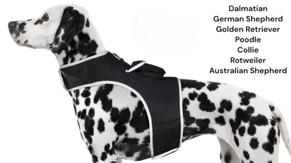 GPS Tracking Dog Collar Locator Effective Realtime Tracking App Size:L