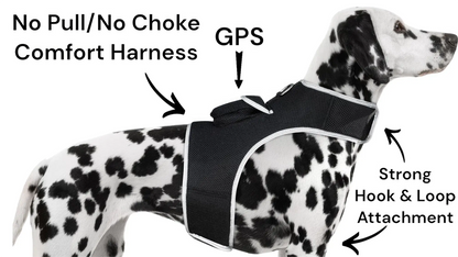 GPS Tracking Dog Collar Locator Effective Realtime Tracking App Size:L