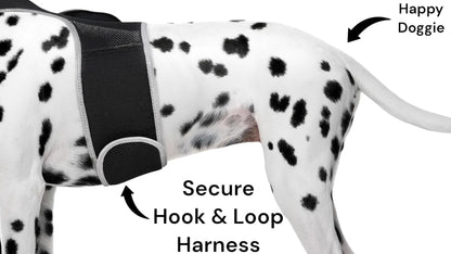 GPS Tracking Dog Collar Locator Effective Realtime Tracking App Size:L