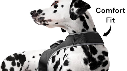 GPS Tracking Dog Collar Locator Effective Realtime Tracking App Size:L