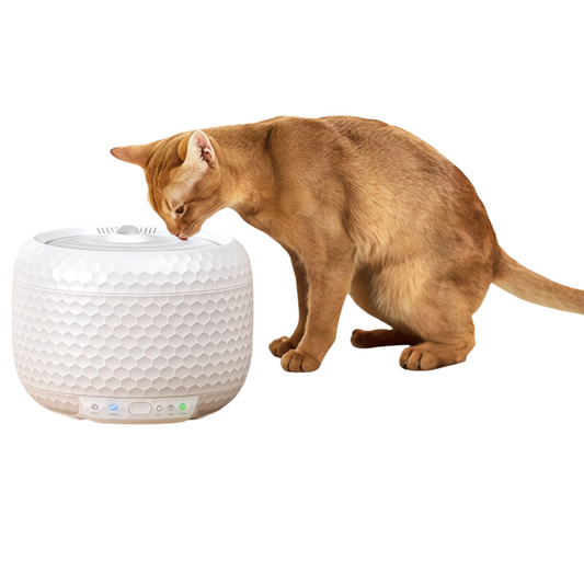 Whisper-Quiet Wireless Cat Water Fountain,  5 Replacement Filter, Automatic Water Fountains for Cats and Small Dogs