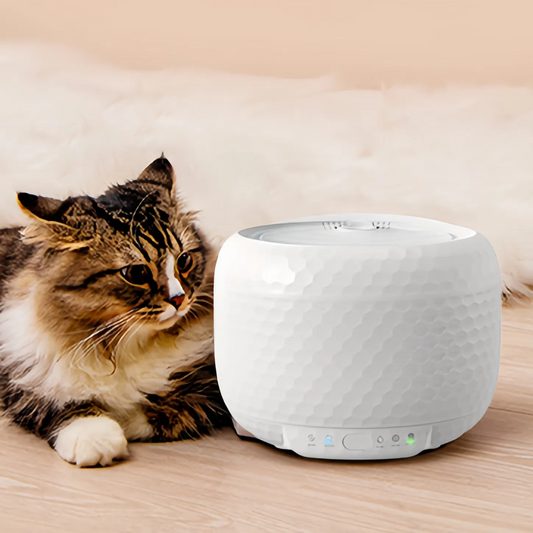 Whisper-Quiet Wireless Cat Water Fountain,  5 Replacement Filter, Automatic Water Fountains for Cats and Small Dogs