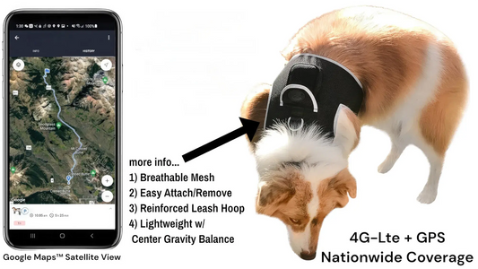 GPS Tracking Dog Collar Locator Effective Realtime Tracking App Size:L