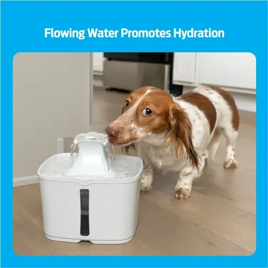 60 oz. Pet Fountain- Automatic water fountain for cats & small dogs, fresh, filtered water, promotes hydration, adjustable water flow, sleek, compact, easy to clean, filters included