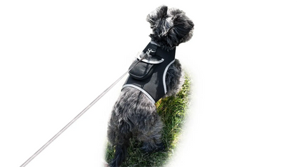 GPS Tracking Dog Collar Locator Effective Realtime Tracking App Size:L