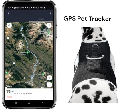 GPS Tracking Dog Collar Locator Effective Realtime Tracking App Size:L