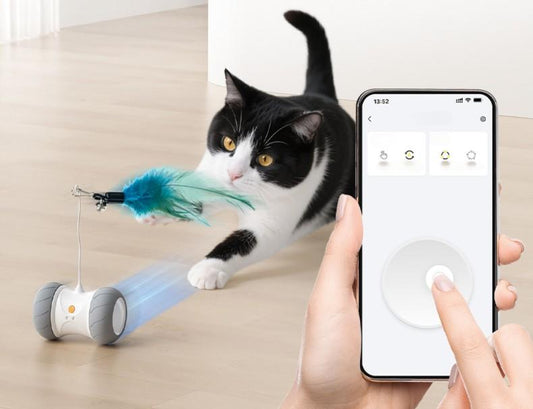 Automatic Cat Toys Interactive Feather Toys, Pet Exercise Electric Toys for Indoor with Feather, APP Control