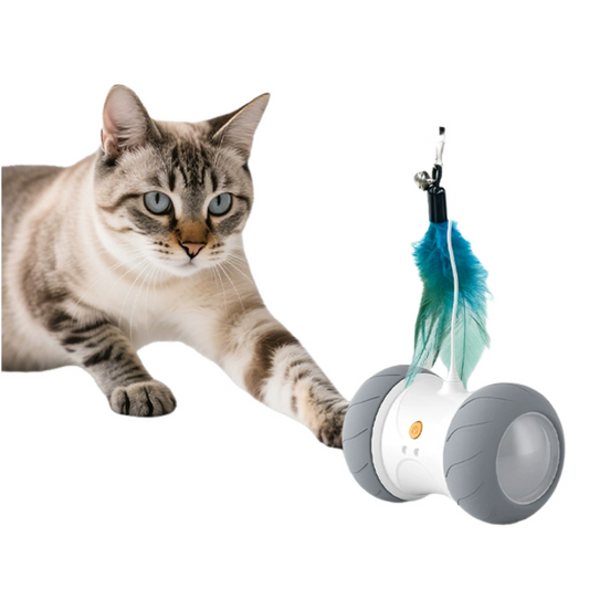 Automatic Cat Toys Interactive Feather Toys, Pet Exercise Electric Toys for Indoor with Feather, APP Control